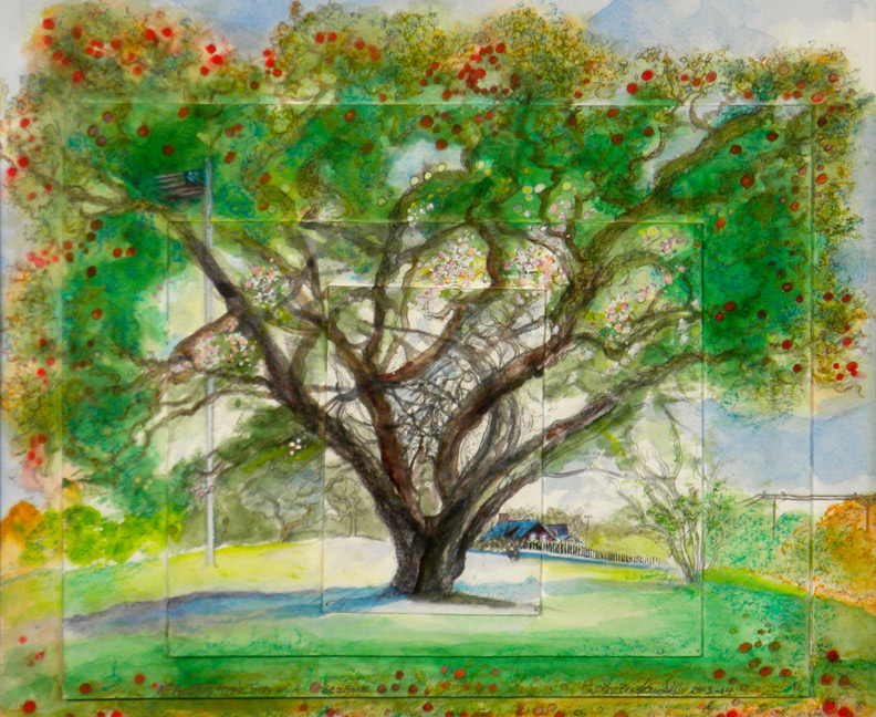 McPheeter's Apple Tree in 4 Seasons #1 