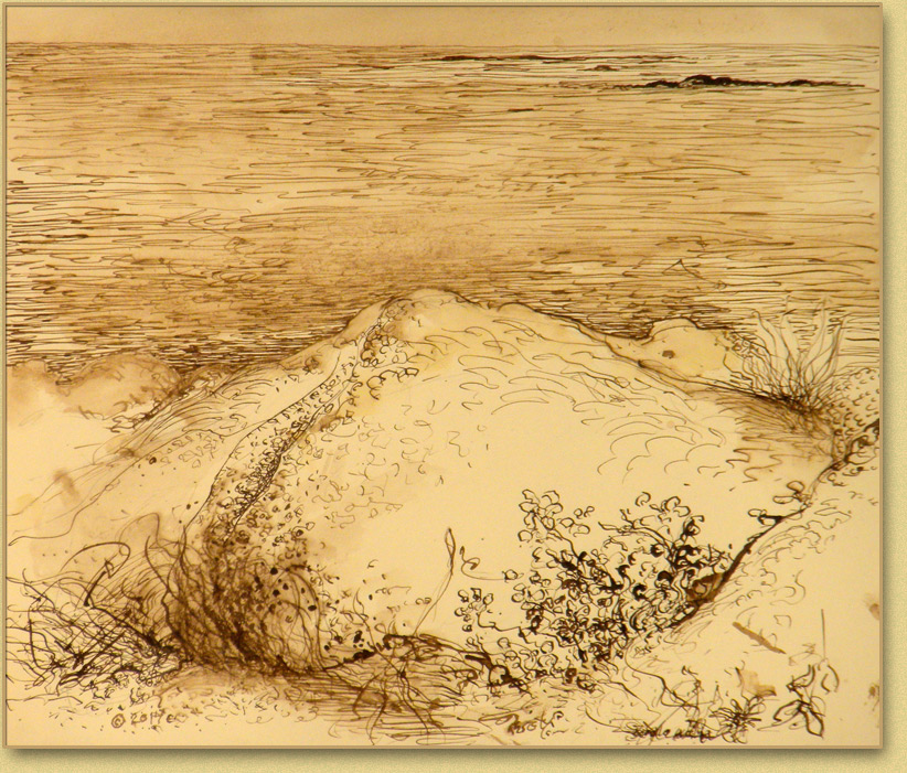 Christy Bergland sepia drawing, Soft Rocks with Weeds and Wild Flowers