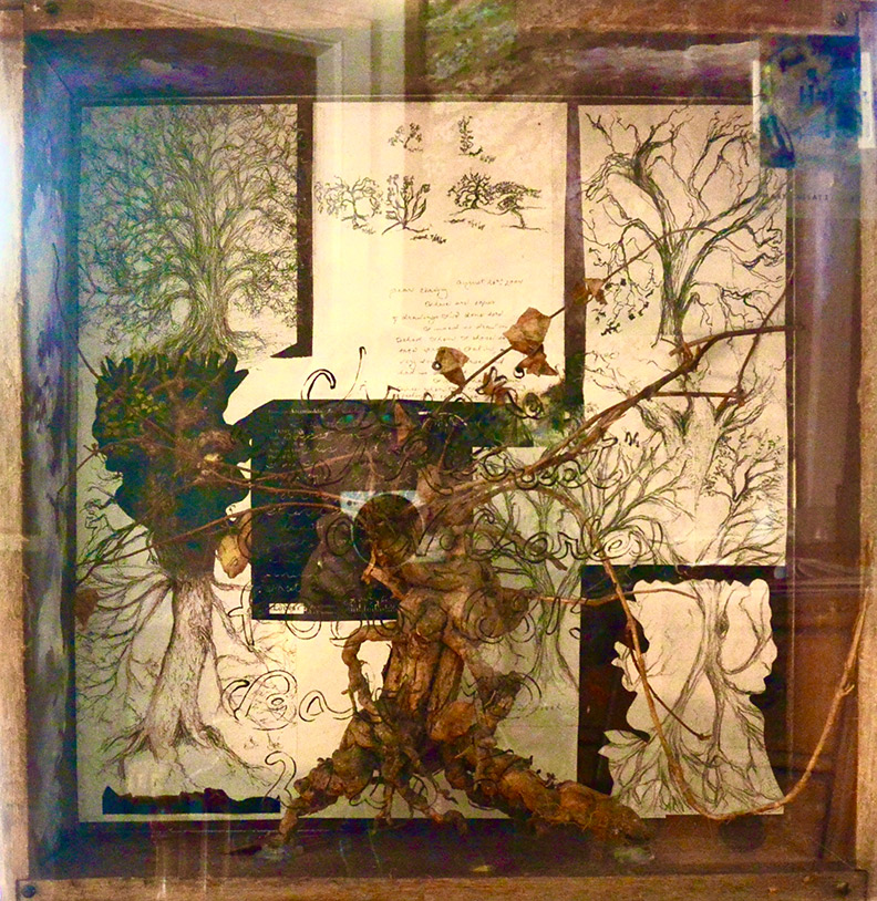 Christy Bergland, acrylic boxes, The Retreat: A Co-Created Ode to the Tree