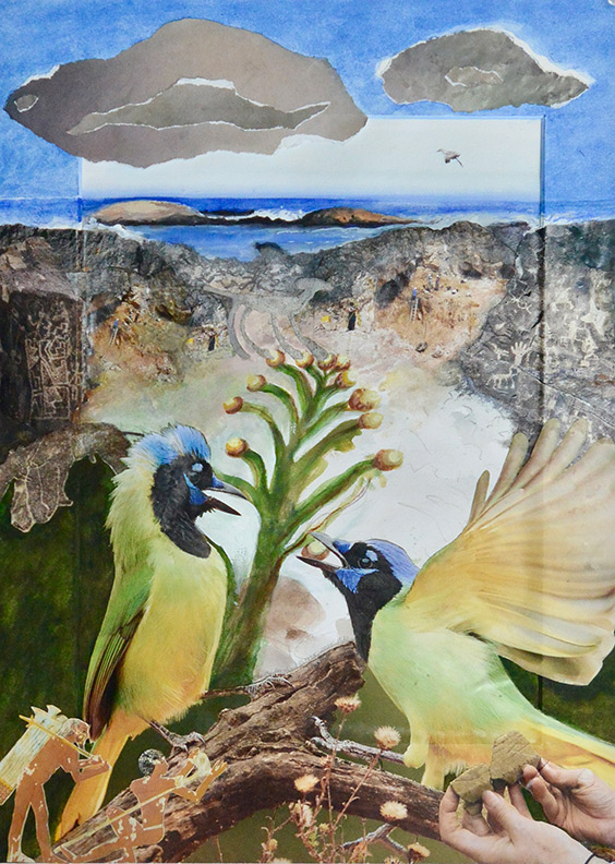 Christy Bergland Collaboratives, Mining the Rocks at Biddeford Pool, ME with Birds #21